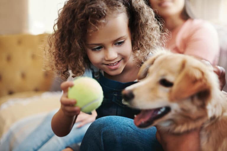Child playing fetch with dog